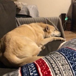 Meet your Posher, Taylor